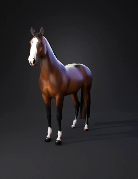 brown horse with white blaze on face black mane and tail white socks