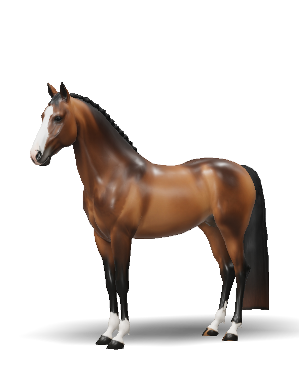 brown horse with white blaze on face black mane and tail white socks